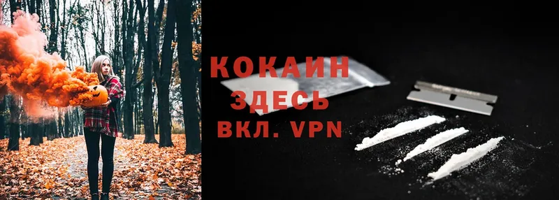 darknet телеграм  Кедровый  COCAIN 98% 