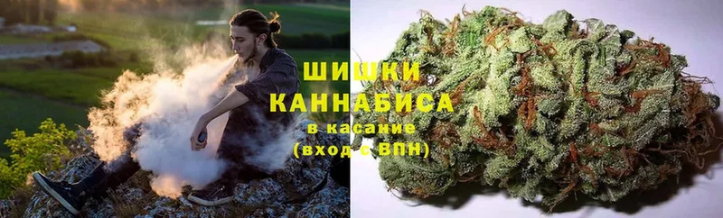 магазин    Кедровый  Бошки марихуана THC 21% 